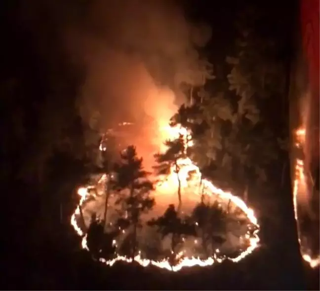 Manisa Gördes'te Orman Yangınına Gece Görüşlü Helikopterle Müdahale Devam Ediyor