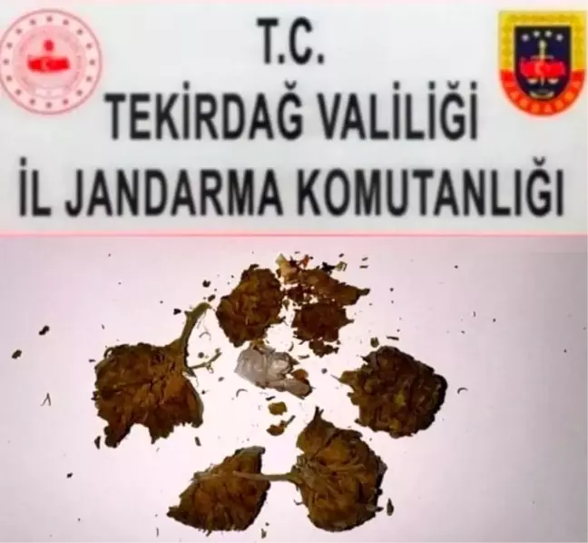 Tekirdağ'da Uyuşturucu Operasyonları: Bonzai, Esrar ve Metamfetamin Ele Geçirildi