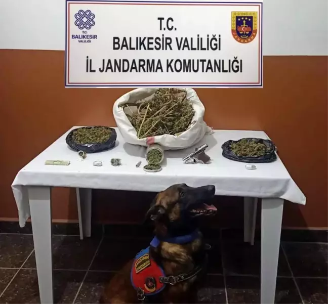 Balıkesir'de Uyuşturucu Operasyonu: 2 Bin 257 Gram Esrar Ele Geçirildi