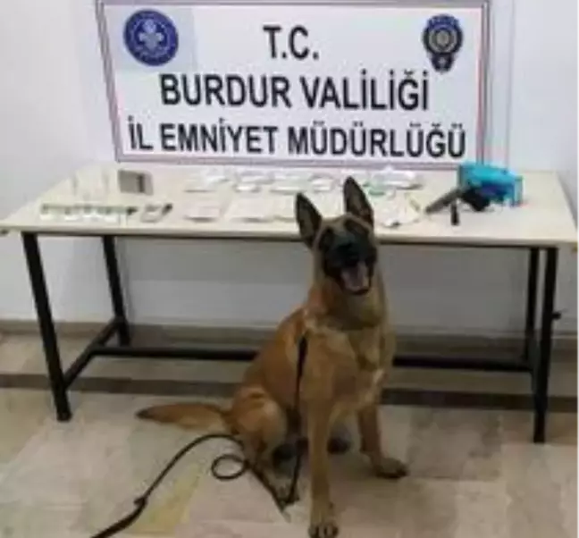 Uyuşturucular narkotik köpeği Sarik'e takıldı