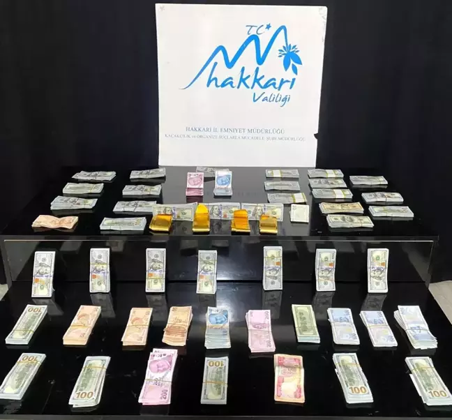 Hakkari'de kaçak altın ve dolar operasyonu