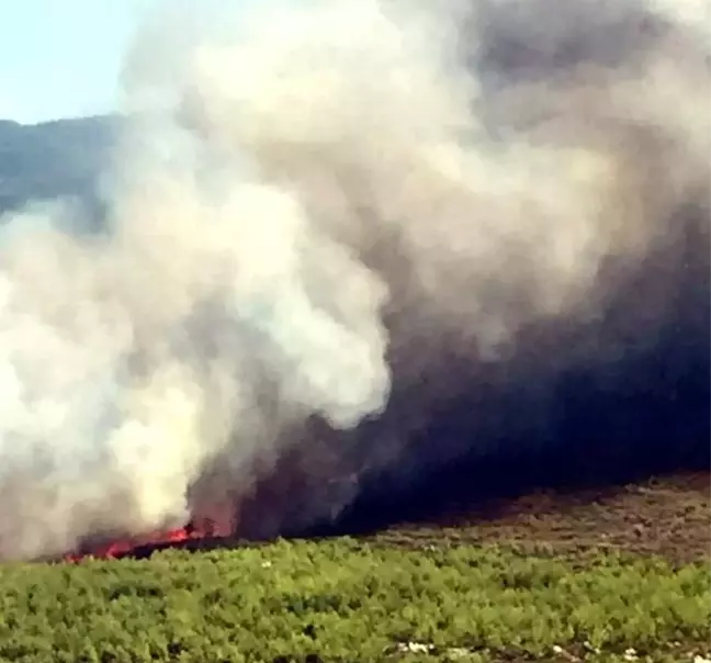 Muğla'da ikinci büyük orman yangını