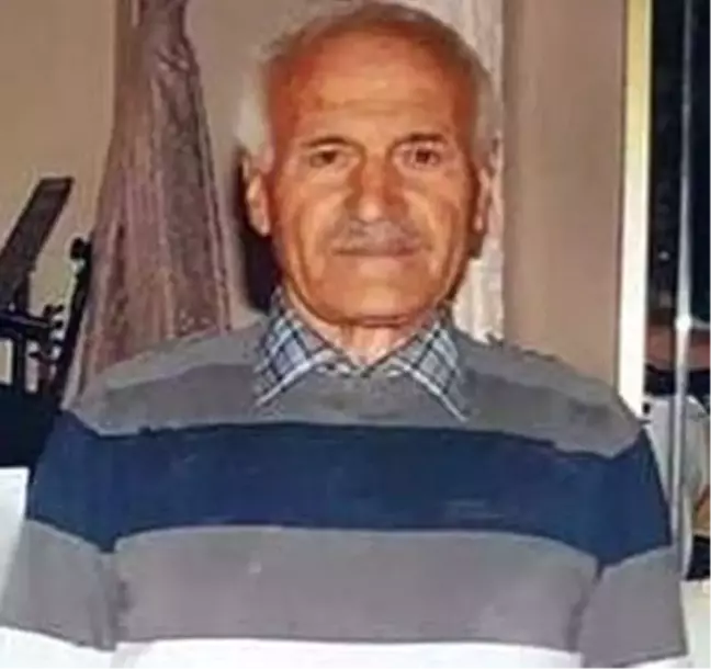 Yaşlı Adamın Cesedi Fındık Bahçesinde Bulundu
