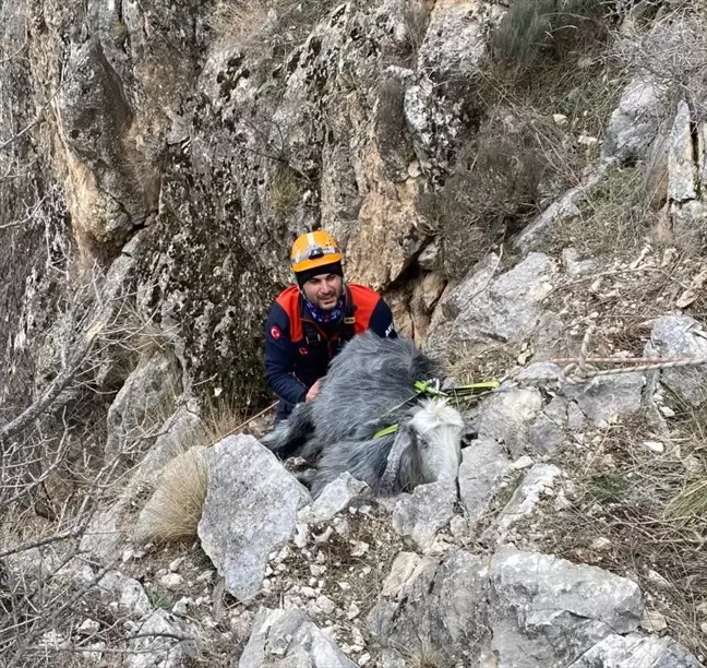 Burdur'da Mahsur Kalan Keçi AFAD Ekiplerince Kurtarıldı