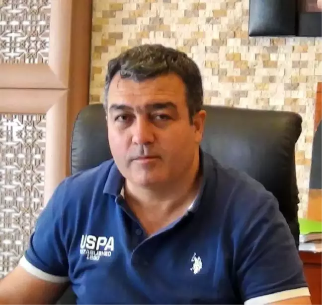 Simav Kestane Ormanlarında Kanserli Dallar Kesildi