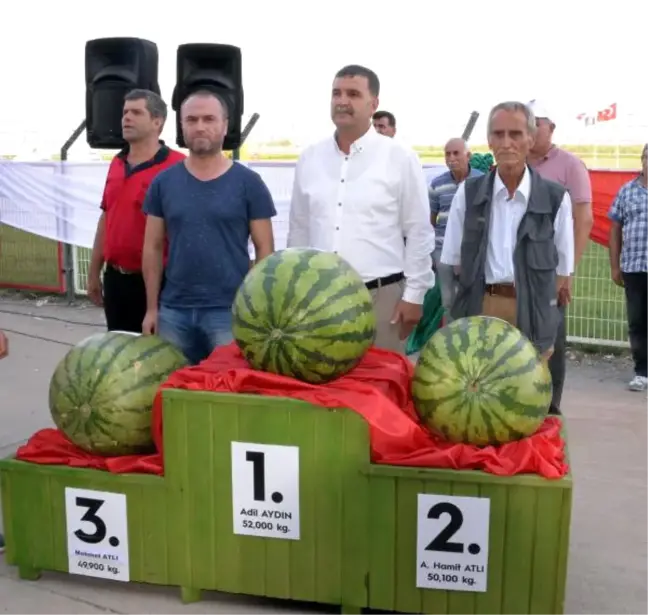 Yarışmada 52 Kiloluk Dev Karpuz 1'inci Oldu