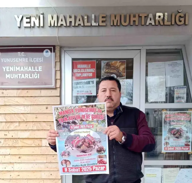 Manisa'da 30 Yıl Aradan Sonra Deve Güreşi Yapılacak