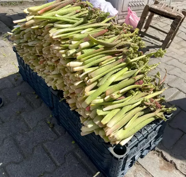 Bitlis'te Uçkun Bitkisi Satışa Sunuldu