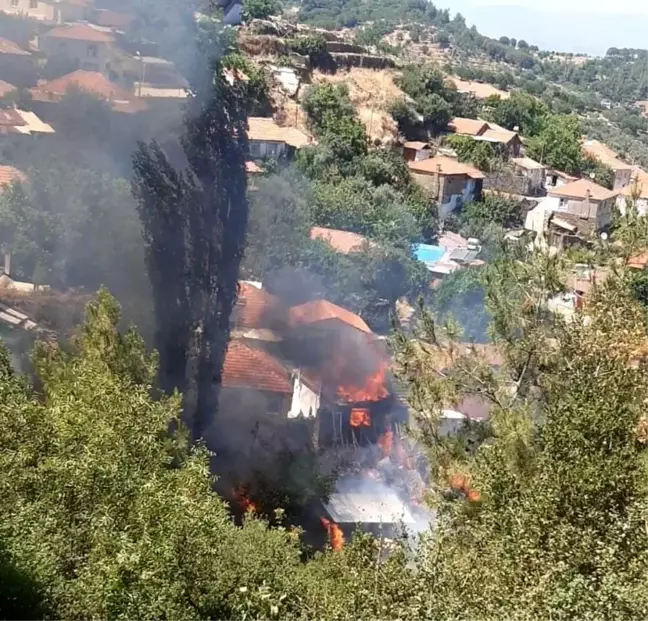 Aydın Bozdoğan ve Koçarlı ilçesinde çıkan yangınlar evlere zarar verdi