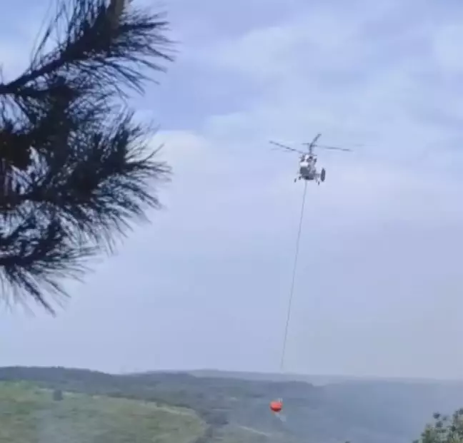 Sultangazi Kent Ormanı'nda yangın - 1