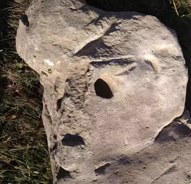Ukrayna'da Bronz Dönemi'ne ait oymalı taş bulundu