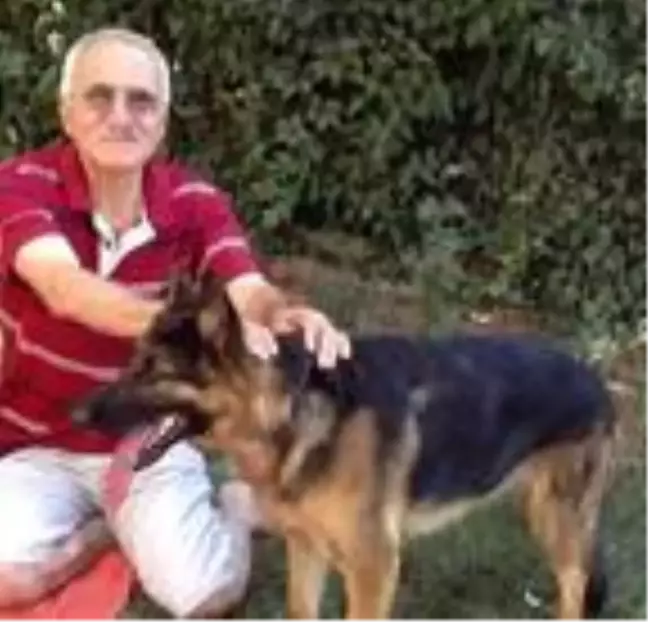 Başına darbe aldıktan 2 hafta sonra kayboldu
