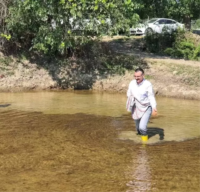 Kaymakam çizmeleri giydi, tarlada çeltik ekti