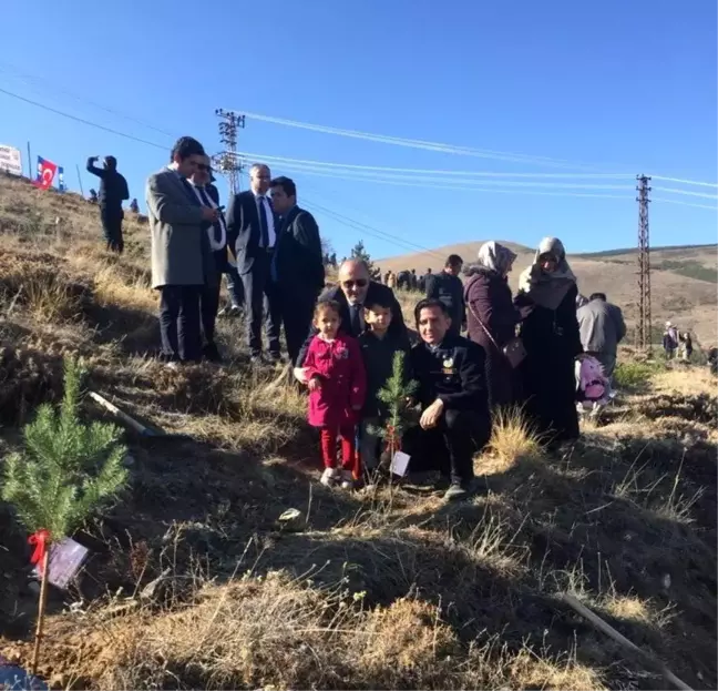 Bayburt'ta yıl içinde doğan her bebek için bir fidan dikildi