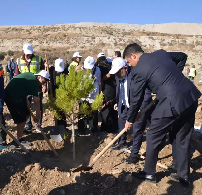 Hüsamlar Yeniden Projesi İle 511 Hektar Alanda Doğa Yeniden Kazandırılıyor