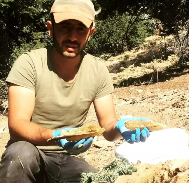 Kaya ve ağaç kovuklarındaki bal ile babası şifa bulunca balcılığı meslek edindi