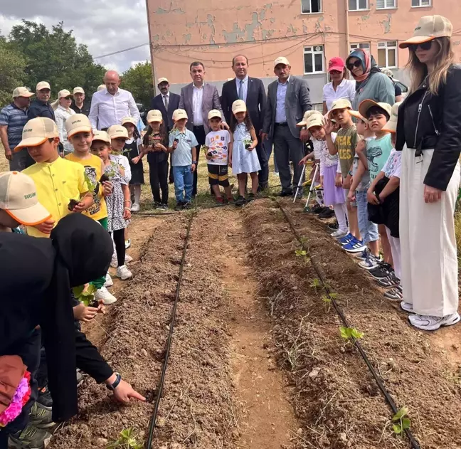 Çorlu'da öğrenciler çilek fidesi dikti