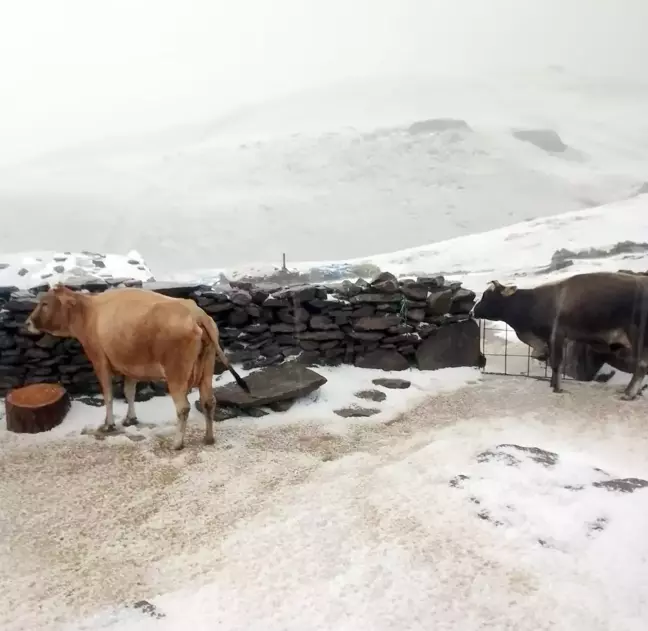 Allahuekber Dağları'nda Tuygun köyünde dolu ve kar yağışı