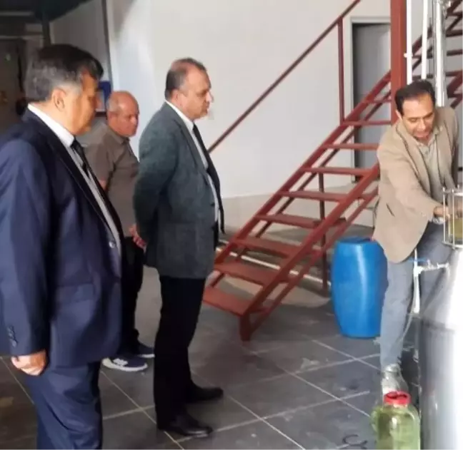 Dumlupınar Üniversitesi'nde Lavanta Yağı Hasadı Yapıldı