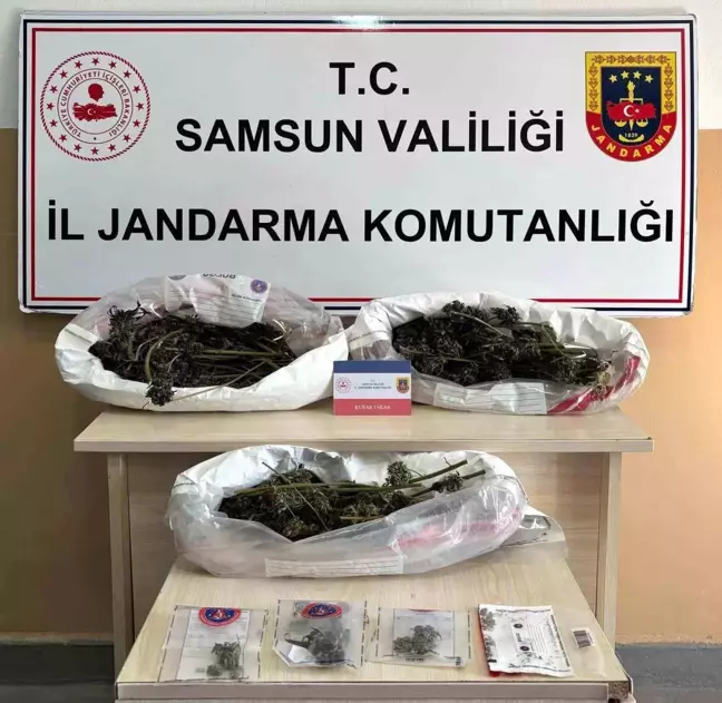 Samsun'da Uyuşturucu Operasyonu: 627 Gram Kubar Esrar Ele Geçirildi