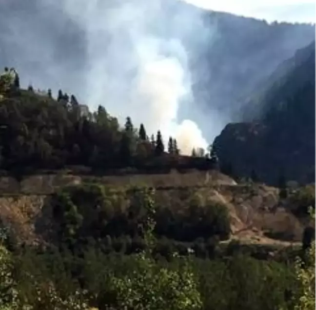 Artvin'in Murgul ilçesinde örtü yangını