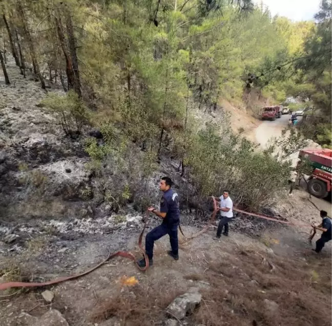 Alanya'da 18 saatlik orman yangınında 8 hektar alan yandı