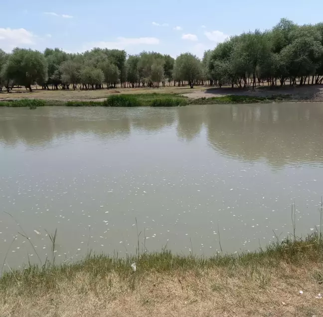 Aras Nehri'ne düşen çocuğunu kurtarmaya çalışan anne akıntıya kapılarak boğuldu