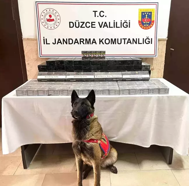 Düzce'de Jandarma Kaçak Sigara Operasyonu: 1069 Paket Ele Geçirildi