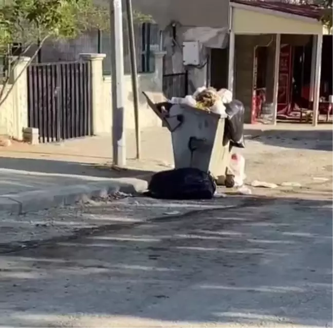 Sincik ilçesinde biriken çöpler tepkilere neden oluyor