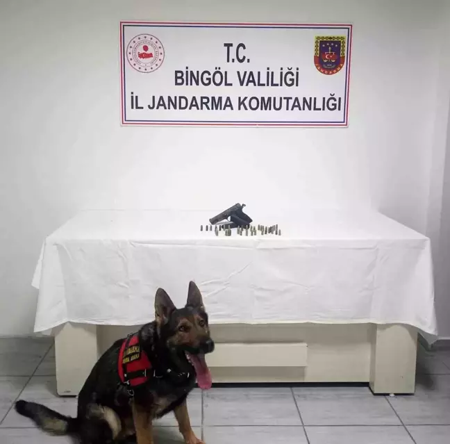 Bingöl'de Ruhsatsız Silah ve Fişek Ele Geçirildi