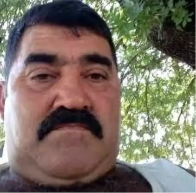 Fethiye'de Cinayet Davası: Tanıklar Dinleniyor