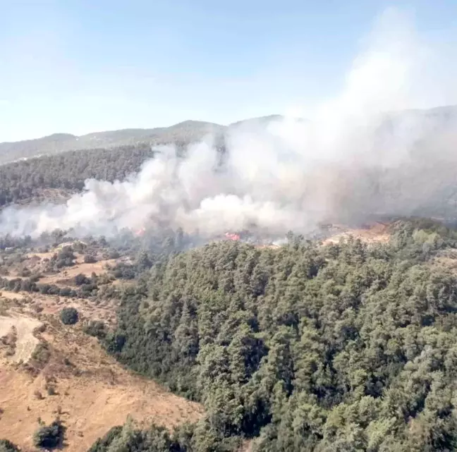 Muğla Milas'ta Orman Yangını Söndürme Çalışmaları Devam Ediyor