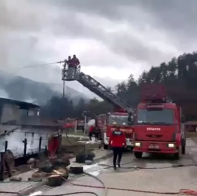 Mengen Rüya Çiftliği Oteli Restoranında Yangın