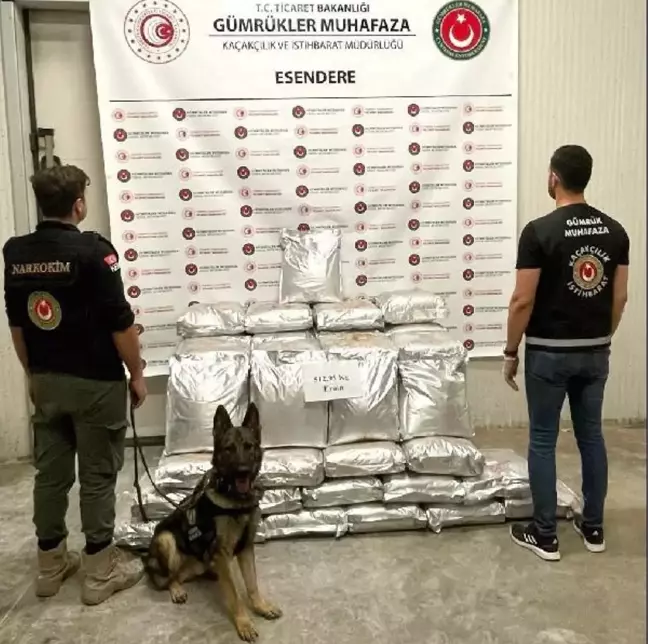 Esendere Gümrük Kapısı'nda 513 kilogram eroin ele geçirildi