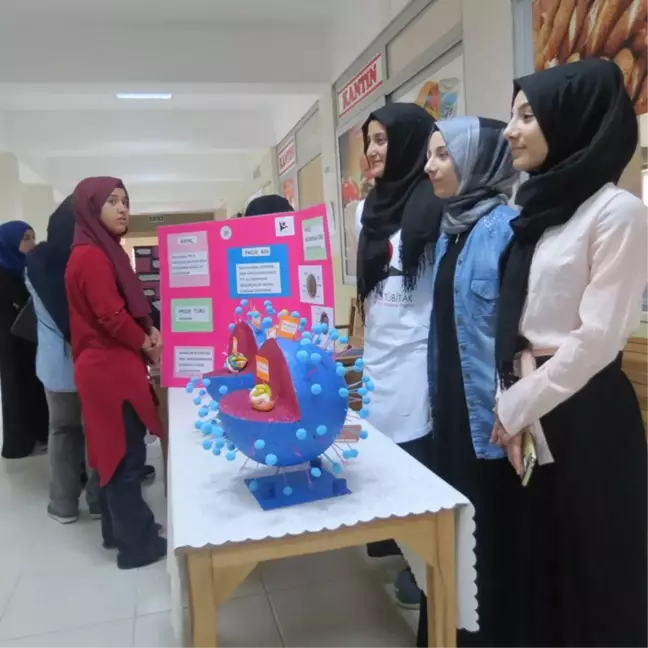 Fatma Zehra Kız Anadolu İmam Hatip Lisesi TÜBİTAK'a Göz Kırptı