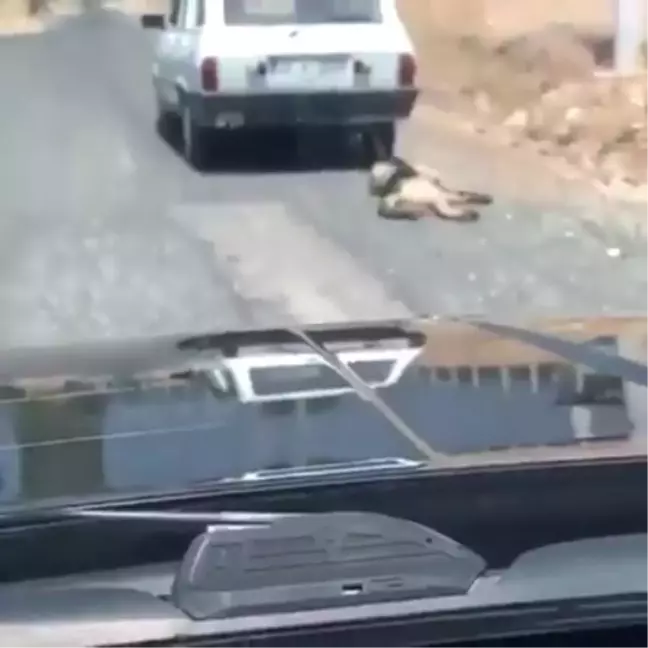 Otomobilin Arkasına Bağlanıp Sürüklenen Köpek Kurtarıldı