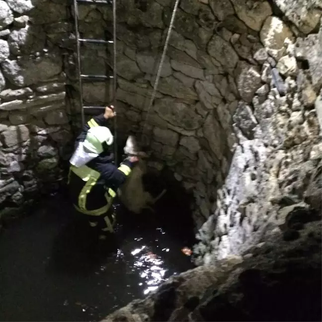 Denizli'de Kuzu Kurtarma Operasyonu
