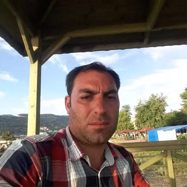 Üstüne Ağaç Yuvarlanan Orman İşçisi, Hayatını Kaybetti