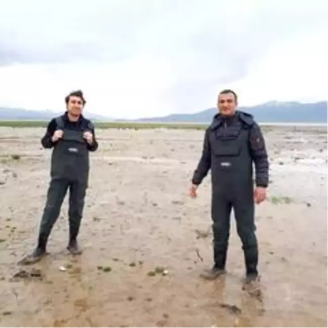 Erçek Gölü'ndeki inci kefalleri için önlemler artırıldı