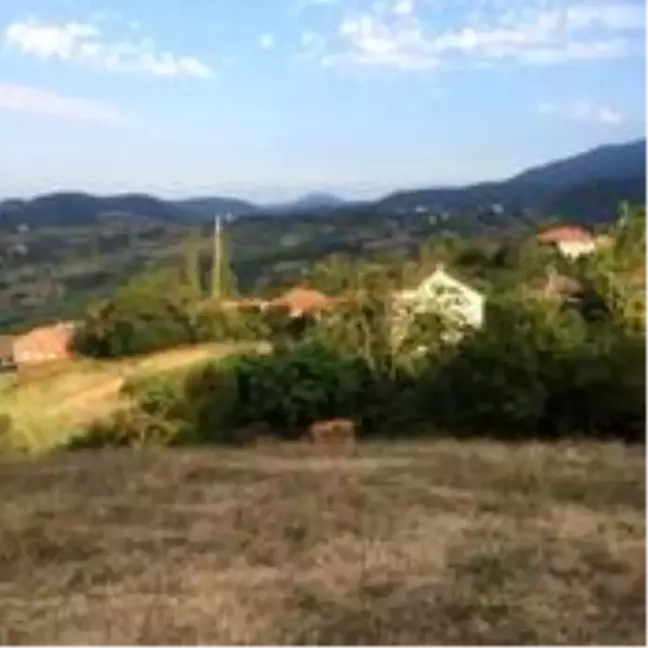 Türkeli'de bir mahalle karantinaya alındı