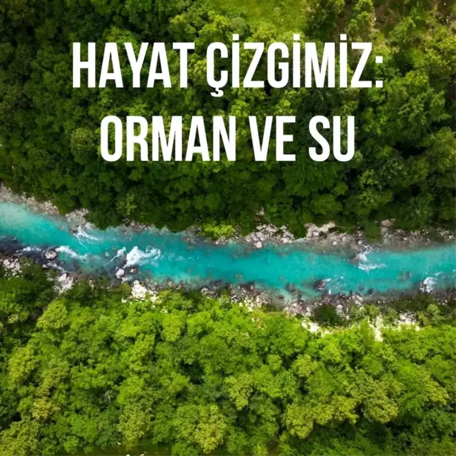 TEMA Vakfı Başkanı Deniz Ataç,