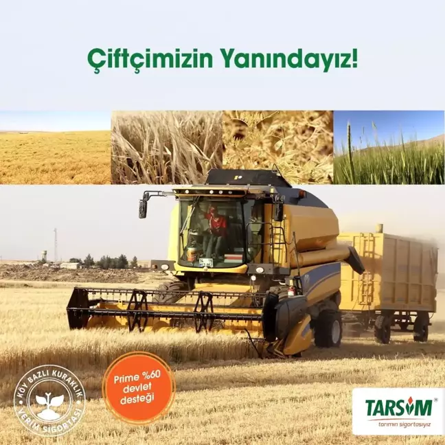 TARSİM: