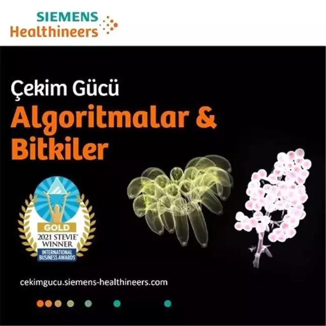 Algoritmalar ve Bitkiler Sergisi, Stevie Uluslararası İş Ödülleri'nde altın ödül kazandı