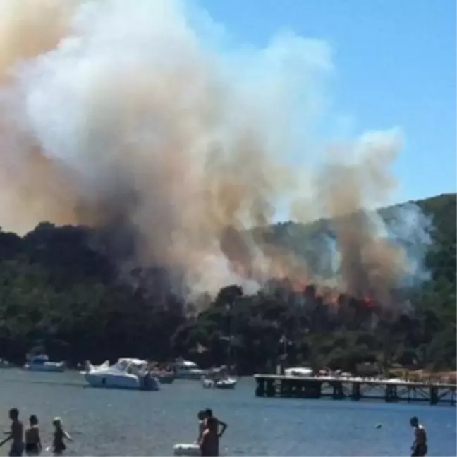 Heybeliada yangın söndürüldü mü, yangın devam ediyor mu? Heybeliada seferleri iptal mi edildi?