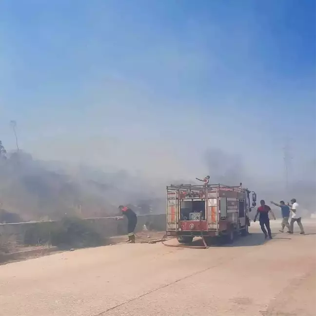 Bodrum'da makilik ve otluk alanda çıkan yangın söndürüldü