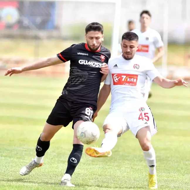 TFF 3. Lig: Turgutluspor: 1 Gümüşhanespor: 1