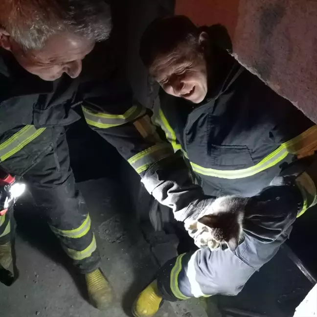 Karabük'te Mahsur Kalan Kedi Yavrusu İtfaiye Tarafından Kurtarıldı
