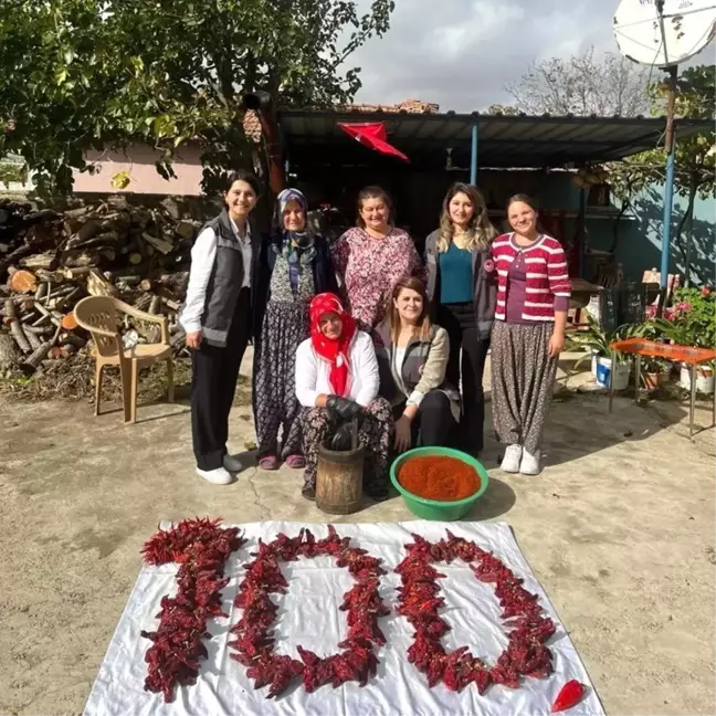 Kırklareli'de Geleneksel Yöntemlerle Pul Biber Üretimi