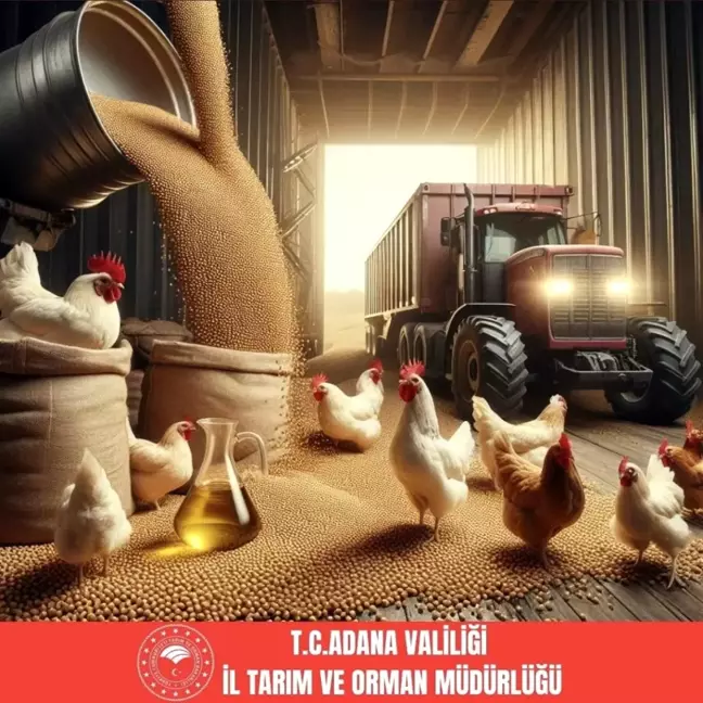 Adana, 2023 yılında Türkiye'nin soya üretiminde birinci oldu