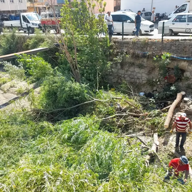 İskilip'te dere yataklarında temizlik çalışması başlatıldı